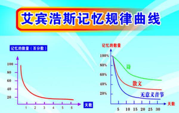 Kaiyun网址 开云记忆课程由世界记忆冠军亲自教提升孩子力(图4)