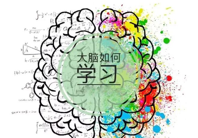 孩子一天记忆力最好的3个黄金时间段家长早知道孩子更聪明!kaiyun官网(图2)